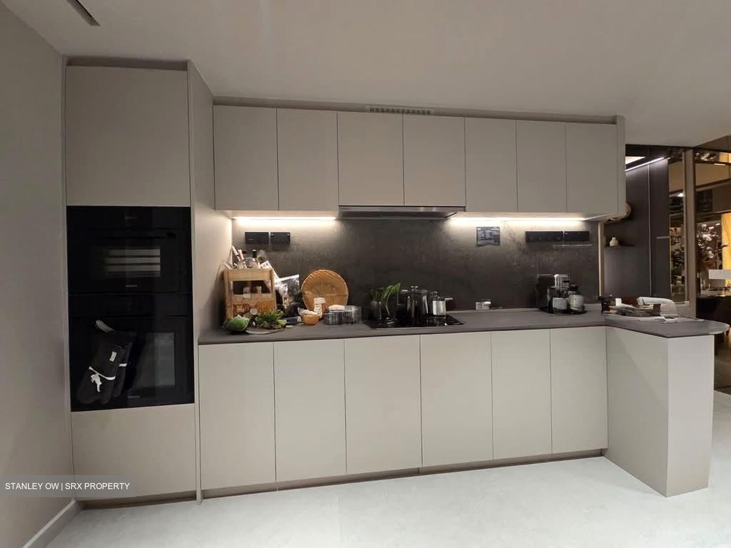 River Modern (D9), Apartment #527440241